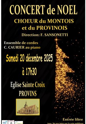 Concert de Noel Sanso