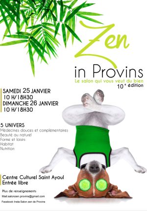 Zen-in-Provins